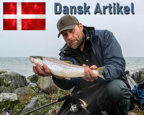 Bevidsthedens Evolution: Naturens orden, karma og lærdom af dybe traumer