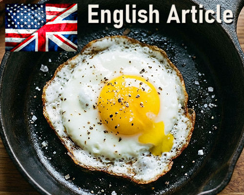 Biology of Consciousness: Analysis of the Mechanisms of Reincarnation