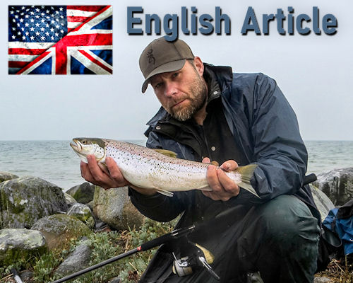 Evolution of Consciousness: Nature’s Order, Karma, &  Lessons from Deep Trauma