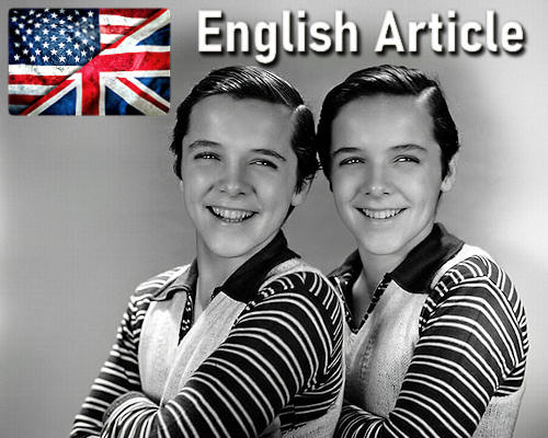 Twins and Consciousness