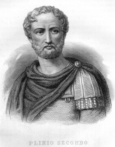 Plinio Secondo - Public domain